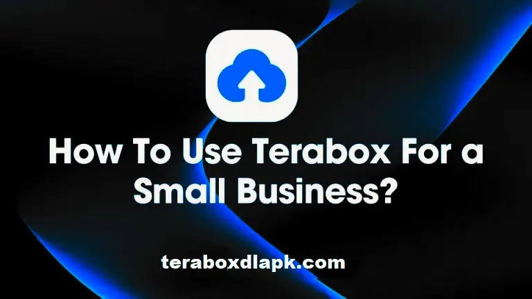 How To Use Terabox For a Small Business