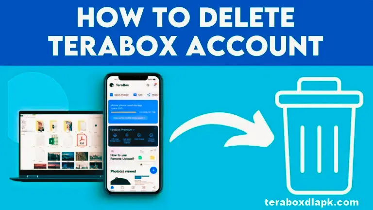 How to Delete TeraBox Account